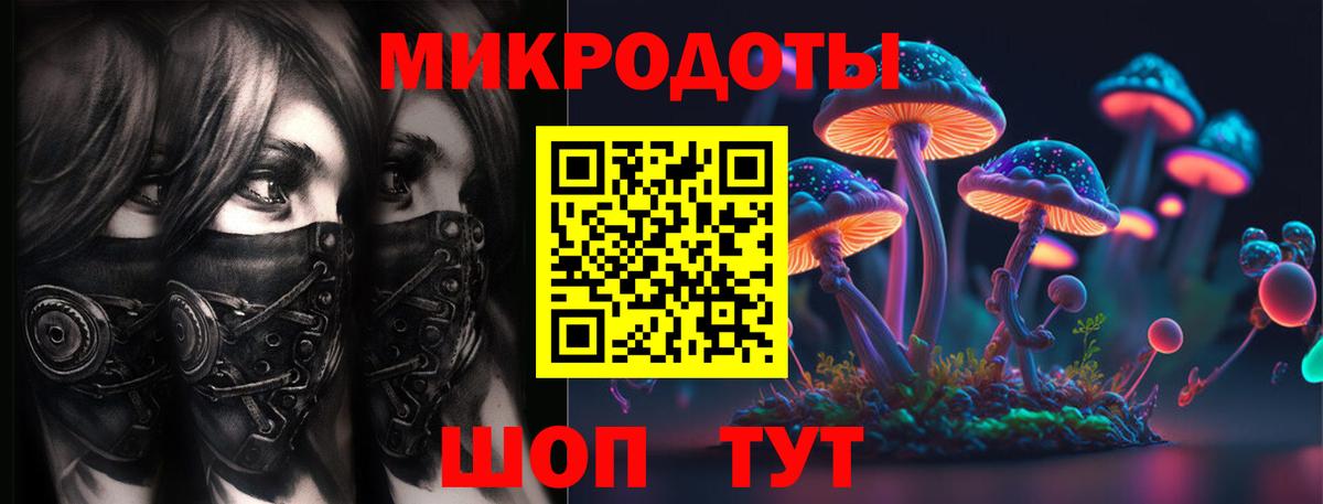 Коряжма  Галлюциногенные грибы Psilocybe  Галлюциногенные грибы GOLDEN TEACHER  Вход с VPN 